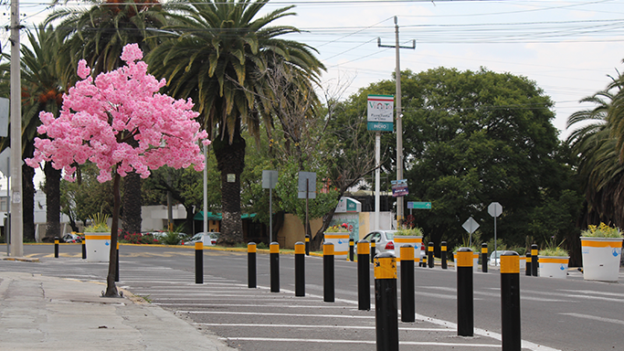 bolardos-para-calles-instalados-en-puebla