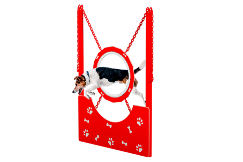 aro canino