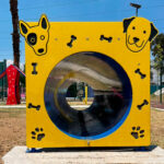 runel canino