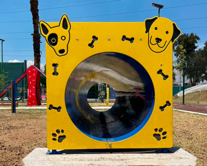 runel canino