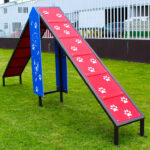 rampa para circuitos agility