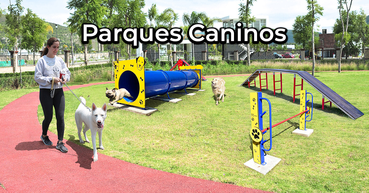 Parque perros