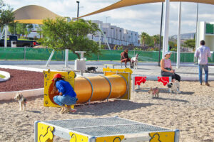 productos para un parque canino