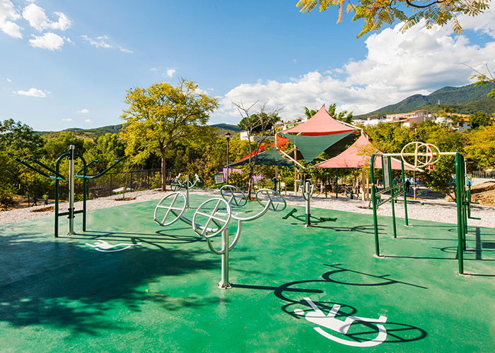 aparatos de gimnasio inclusivo