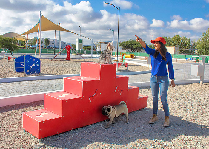 obstáculo para perros