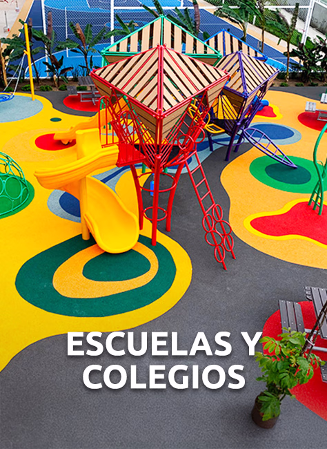 Escuelas y colegios
